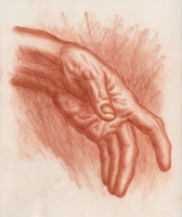 Human Hand 12 - Version 2